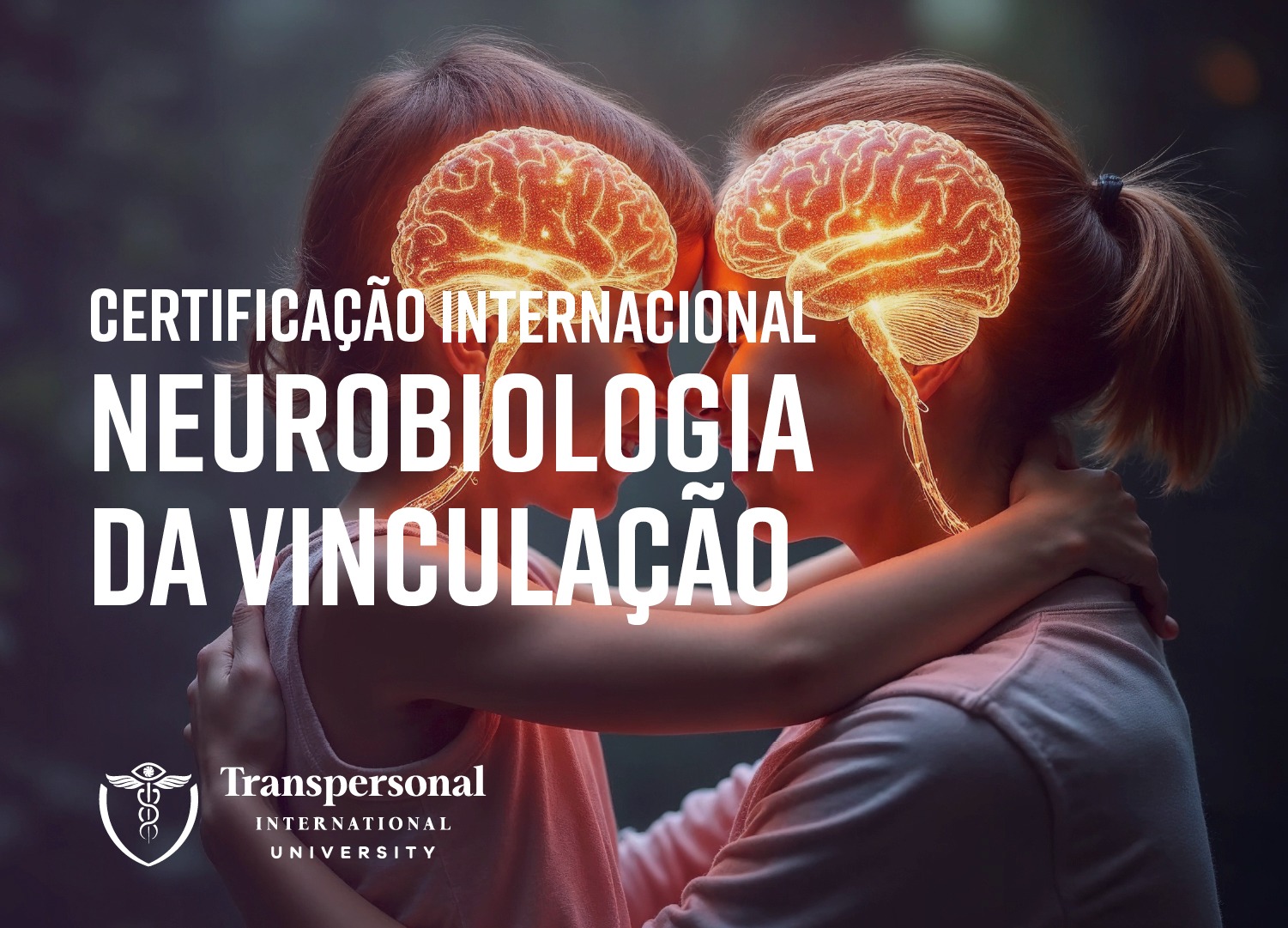 Neurobiologia da Vinculação